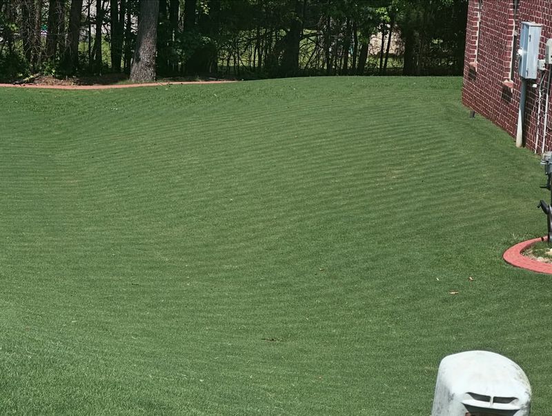 Mowing Too Short