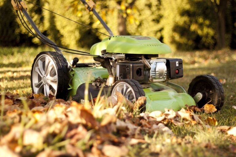 lawn mower leaves on lawn