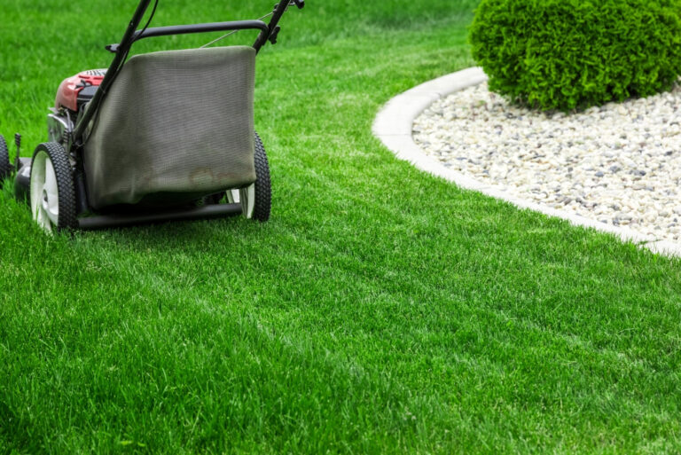 lawn (featured image)