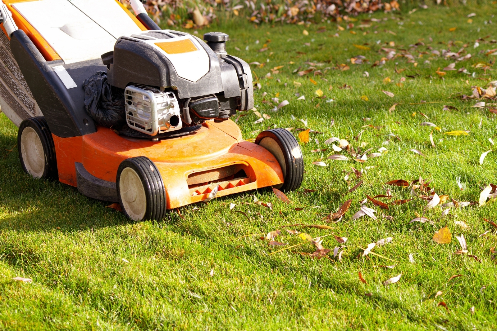 Lawn Mowing (featured image)