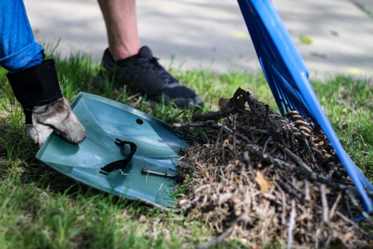 gardener collects lawn debris
