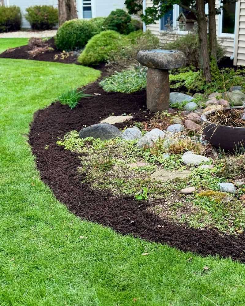 Clean Up Summer Debris