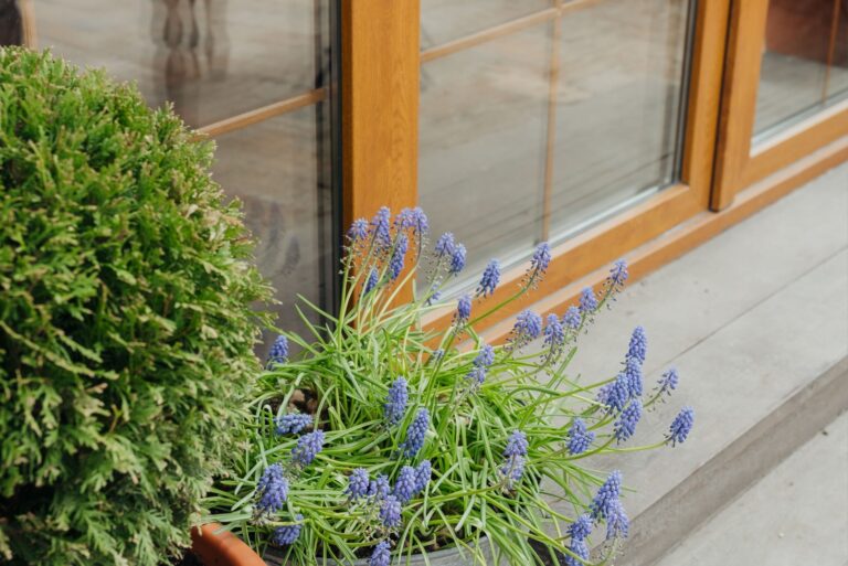 Lavender plants flourish in a pot beside a cozy patio entrance