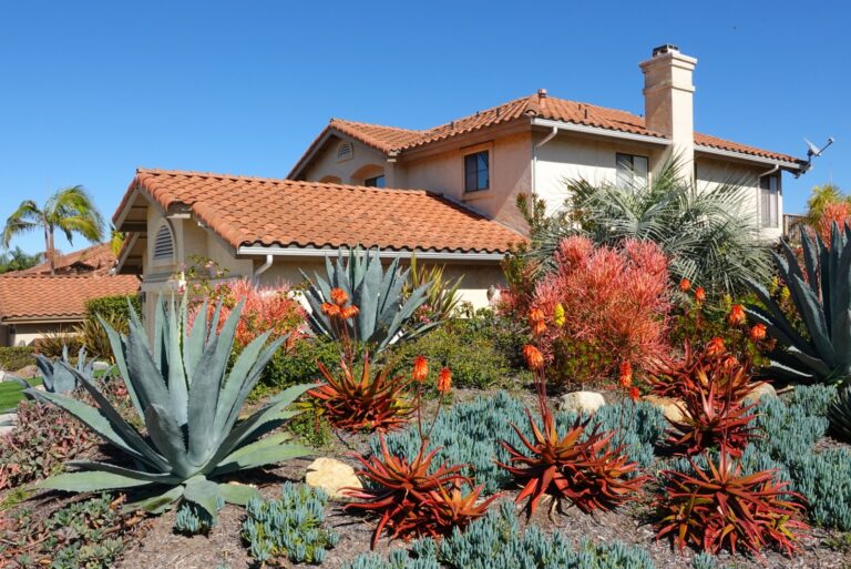 Drought tolerant landscaping in Southern California