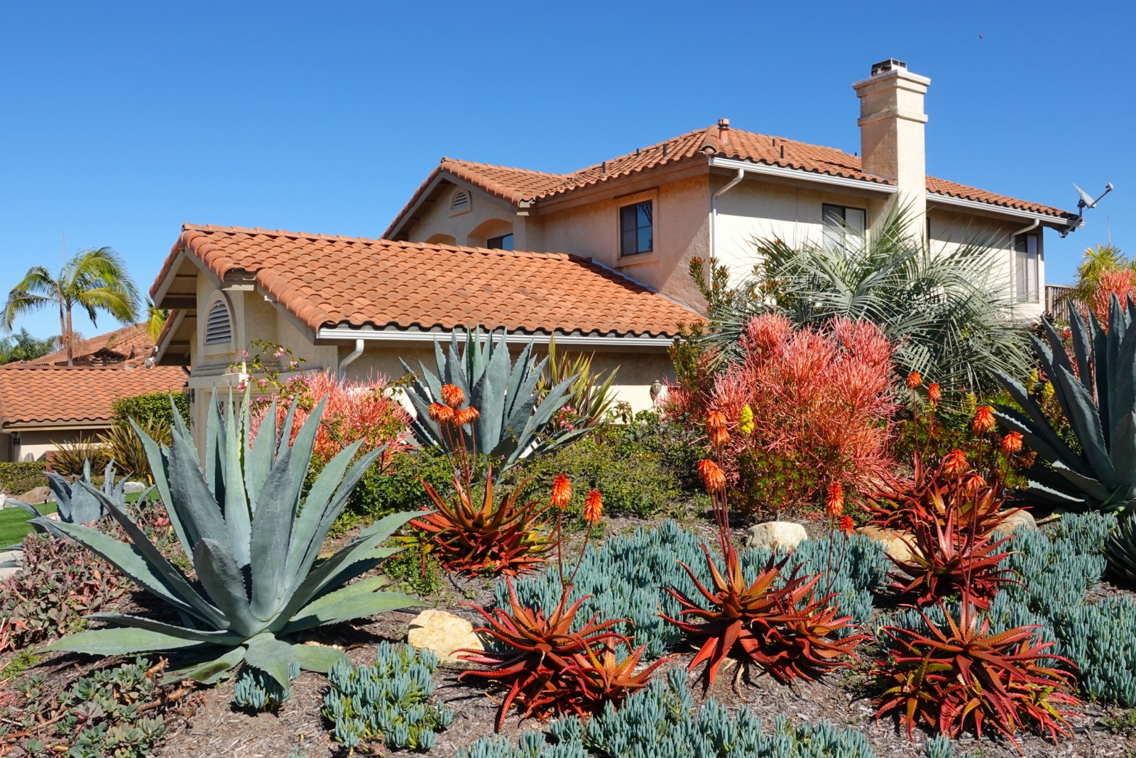 9 Ways Native Plants Can Cut Costs And Attract Buyers In California