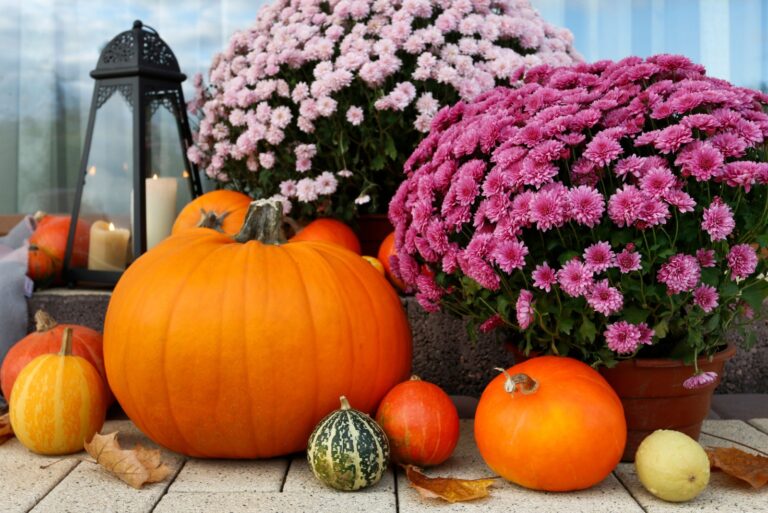 Beautiful home decoration with pumpkins, chrysanthemum flowers and candles.