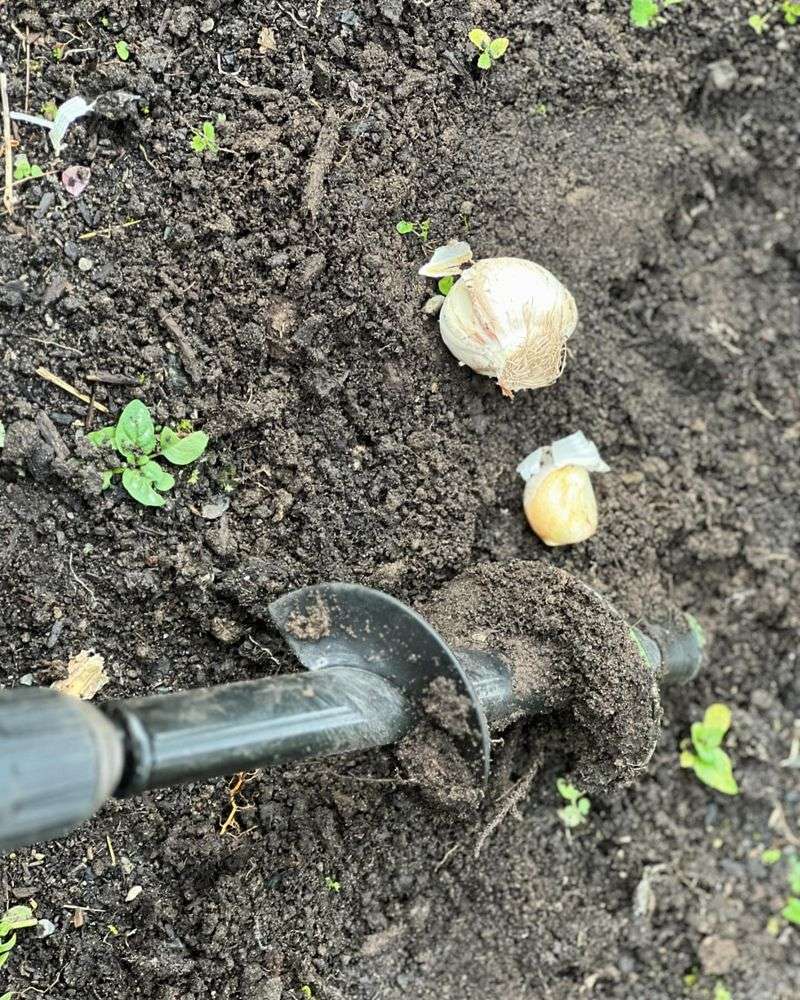 Group Bulbs For Maximum Impact