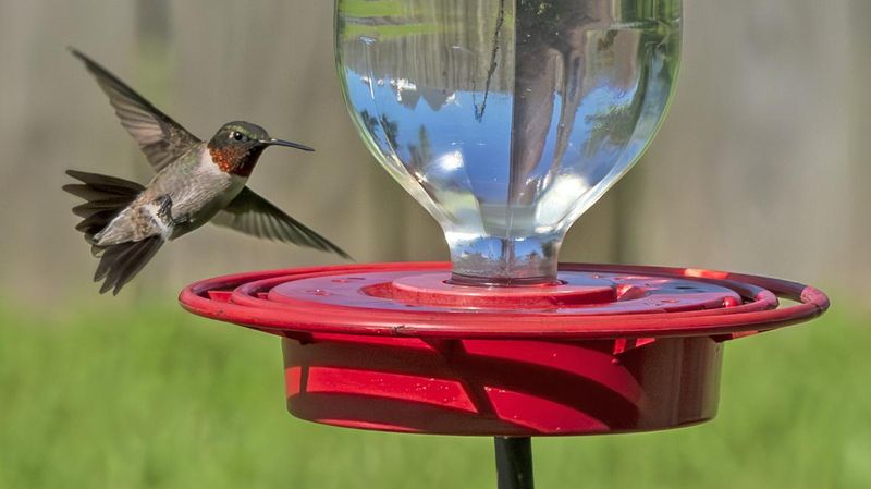 Create Feeding Routines