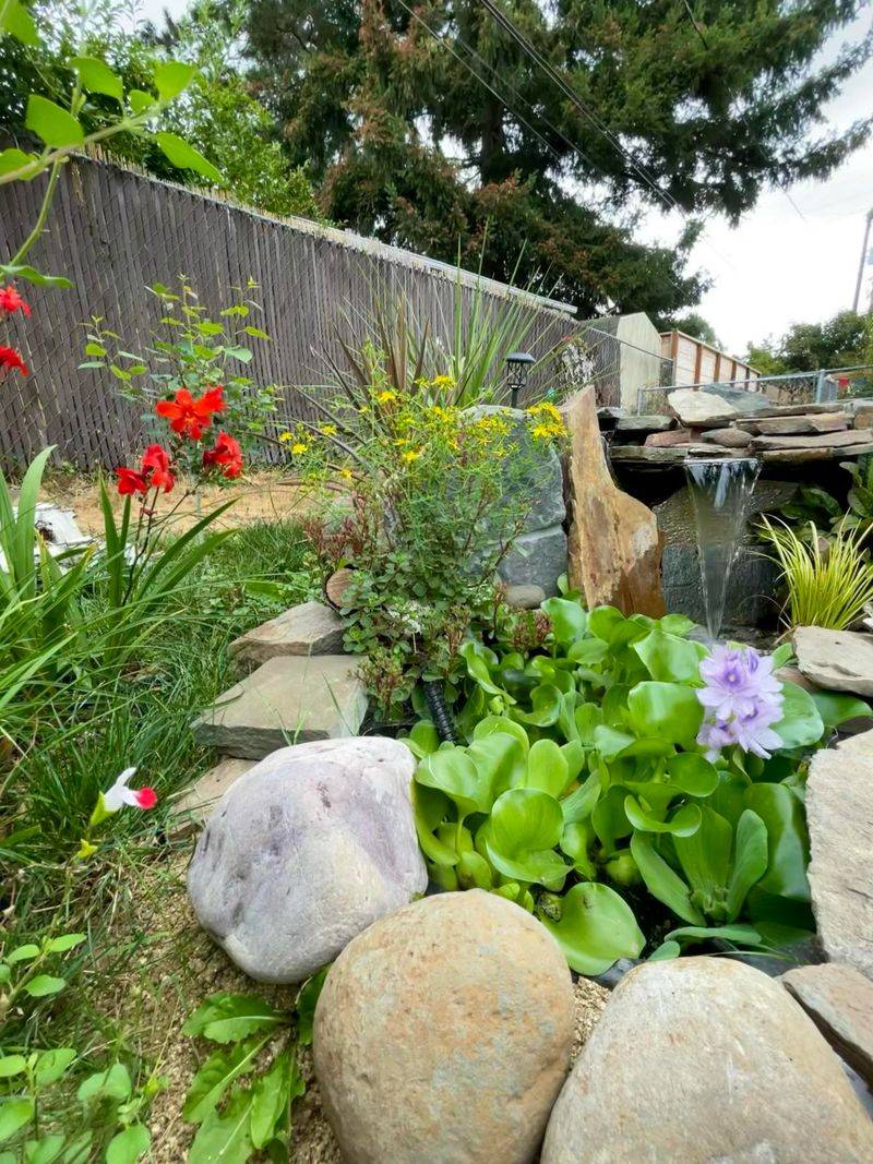 Plant Water-Loving Native Species