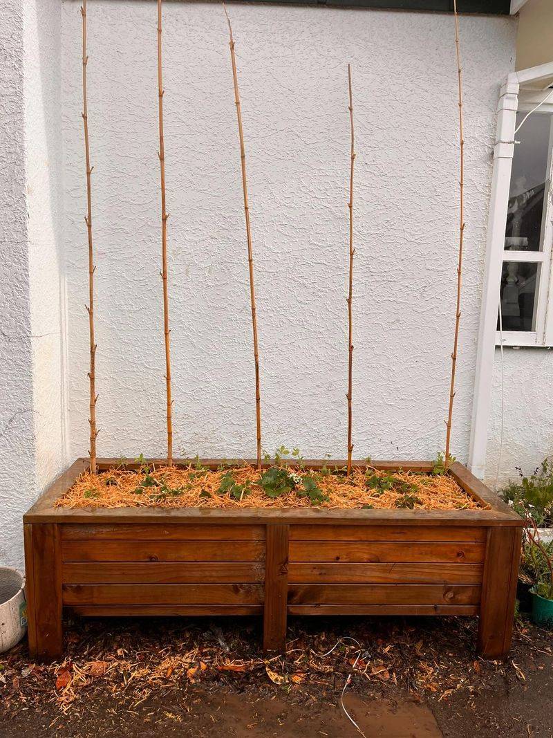 Build New Beds