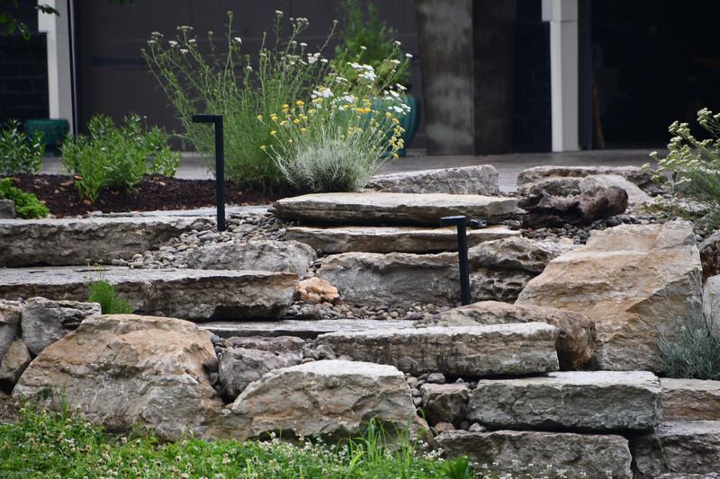 Limestone Rock Borders