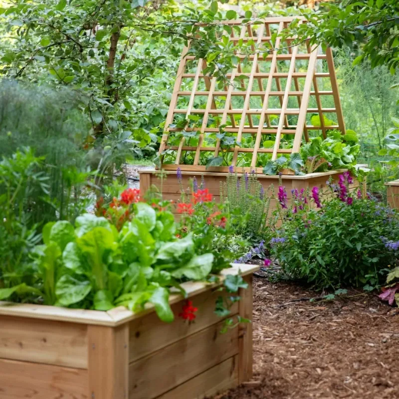 Raised Cedar Beds
