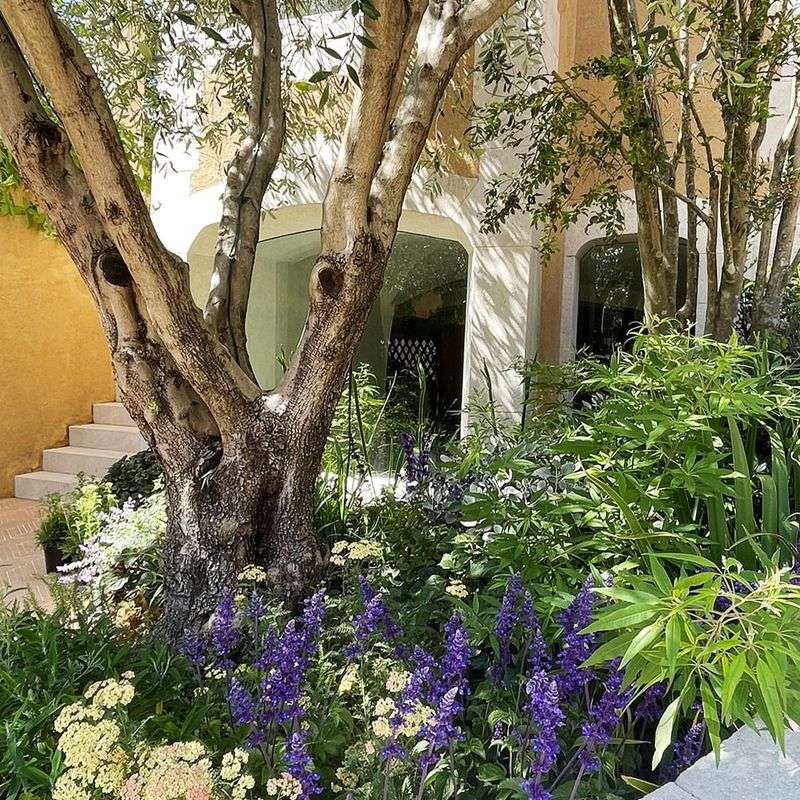 Under Tree Canopies