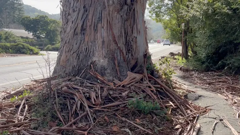 Extreme Fire Hazard In Dry Conditions