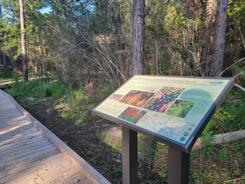 Graham Creek Nature Preserve