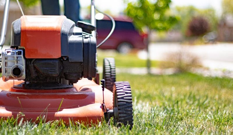 Clean Your Mower Thoroughly