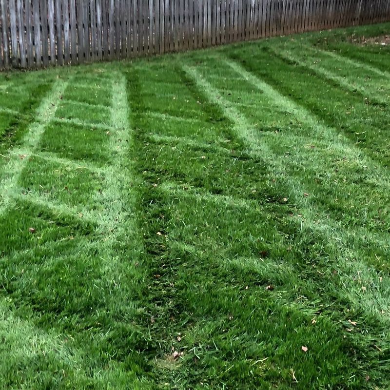 Leave Clippings Behind