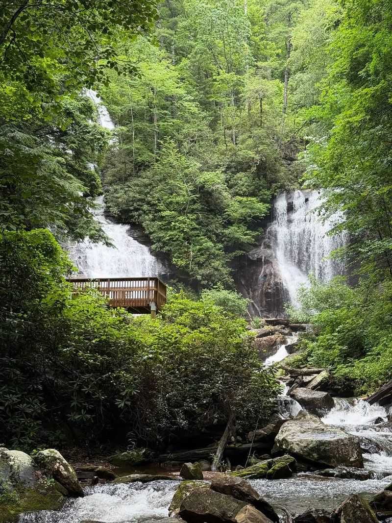 Chattahoochee National Forest