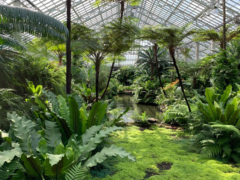 Garfield Park Conservatory