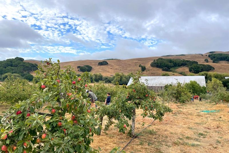 Chileno Valley Ranch