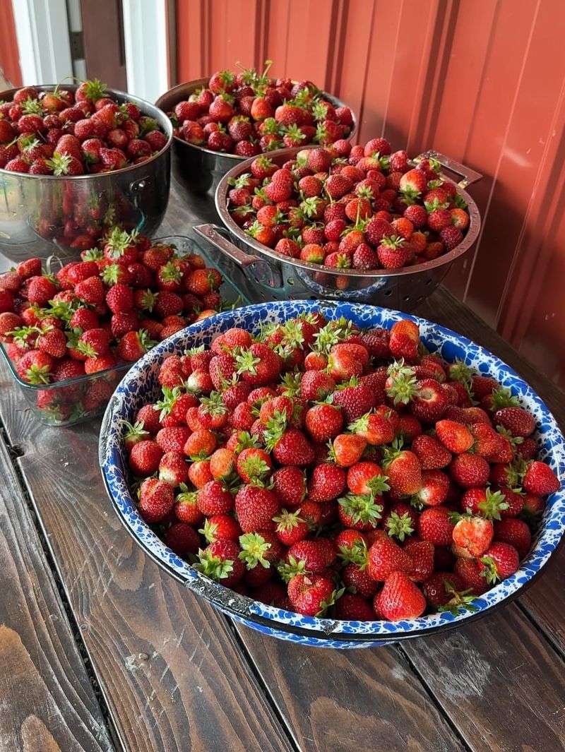Strawberries