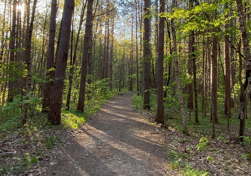 Dodge Point's Old Farm Trail
