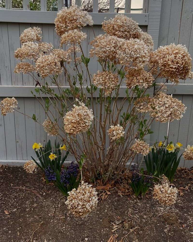 Switch To A Winter Fertilizer Formula