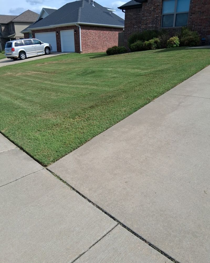 Overseed Thin Areas