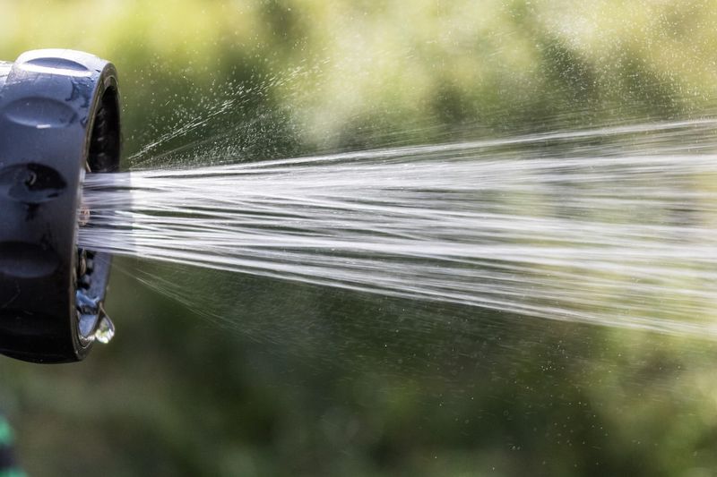 Deep Water Your Plants
