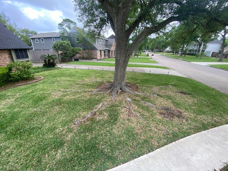 Replace Damaged Lawn Areas
