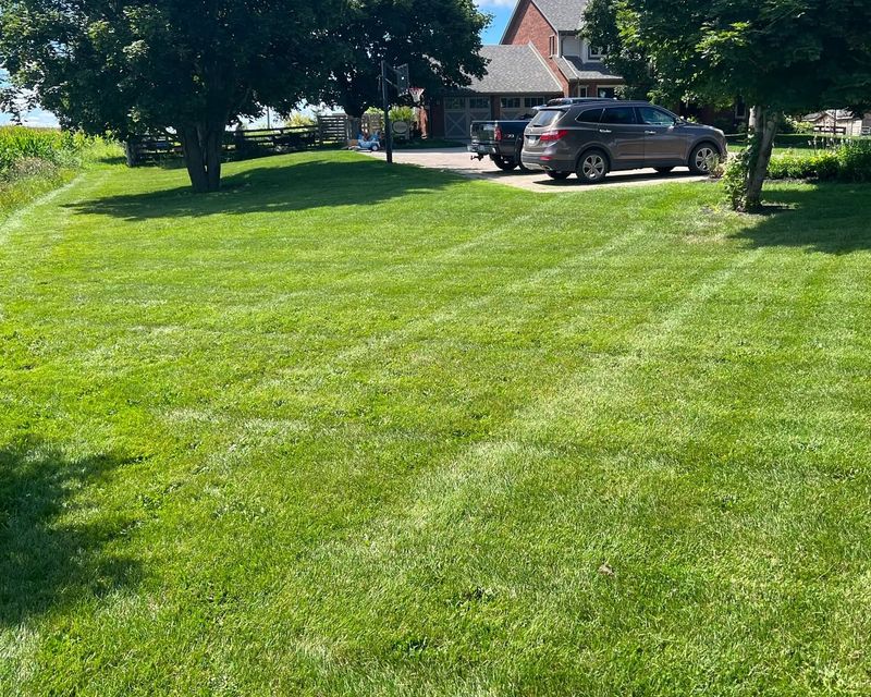Skipping Overseeding