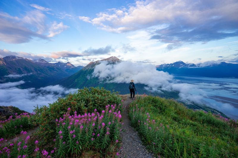 Chugach State Park's Hidden Meadow Gardens