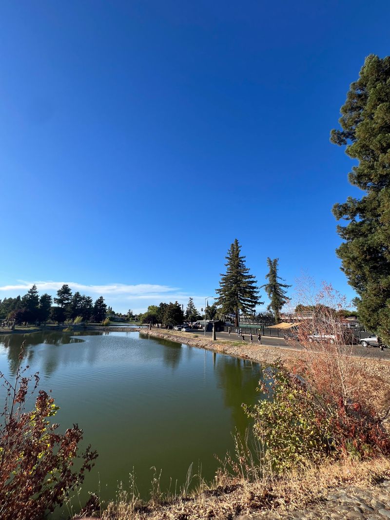 Punjabi Roots Garden In Yuba City