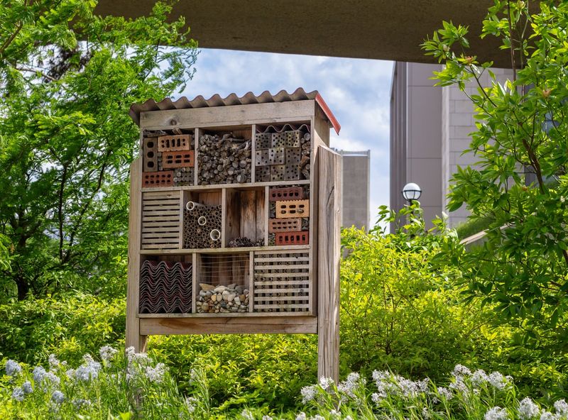 Design A Window-Mounted Observation Hotel