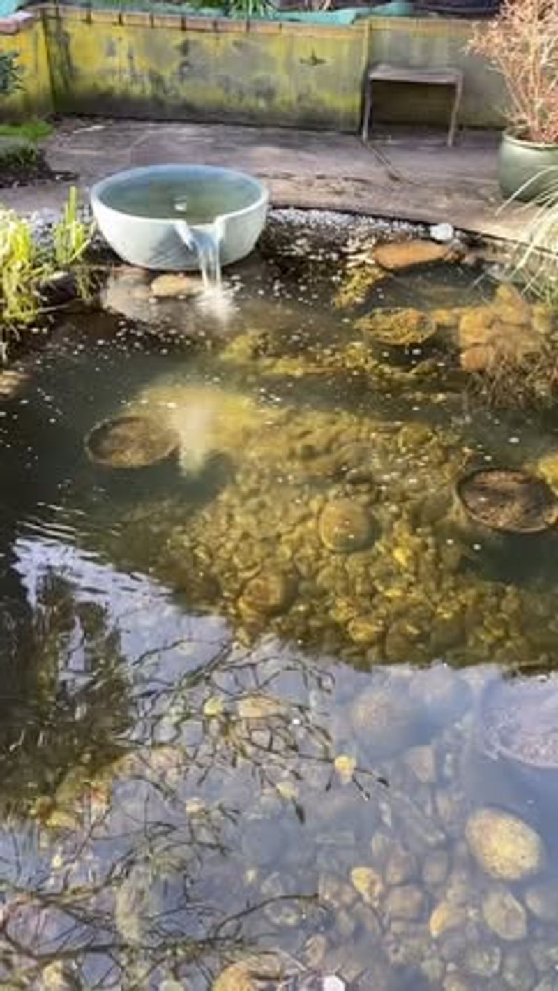 Water Features Over 100 Gallons