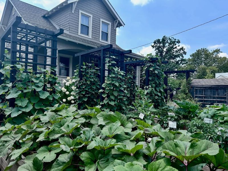 Front Yard Vegetable Gardens