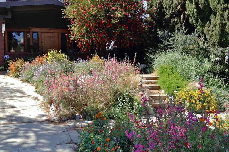 Save On Replacement Costs With Long-Lived Plants