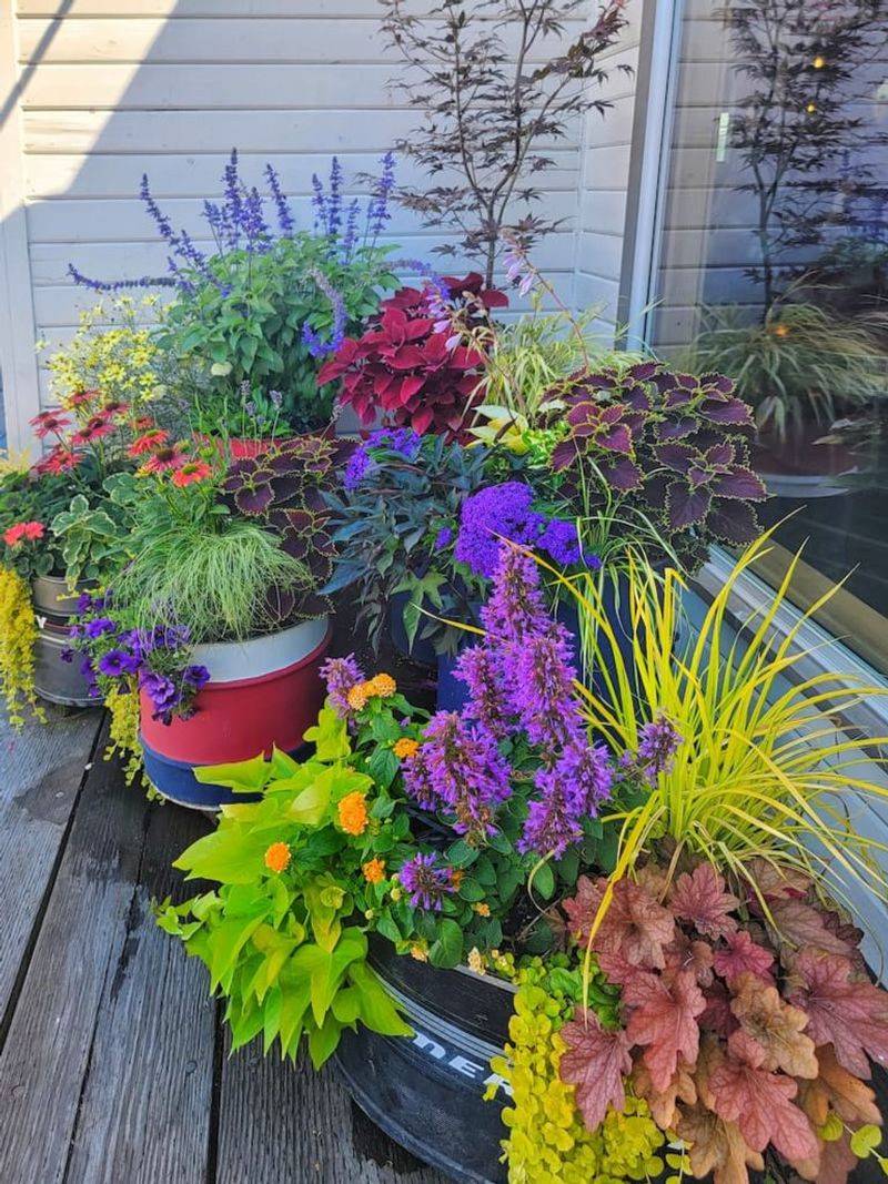 Container Gardens For Instant Impact