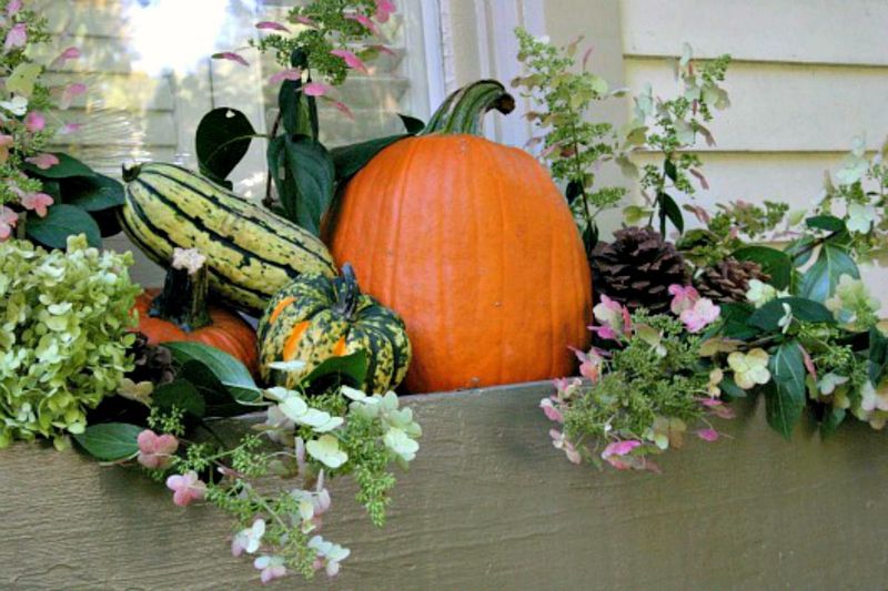Frost-Resistant Window Box Pumpkin Planters
