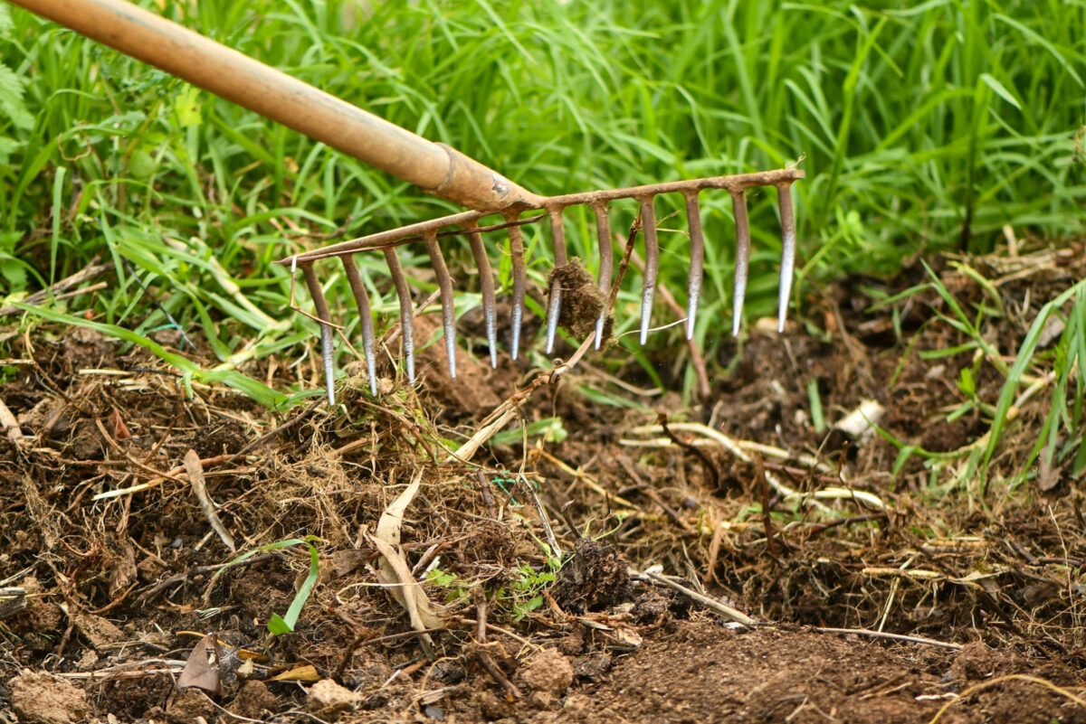 Autumn Soil Prep Tips For Better Spring Gardening In Ohio