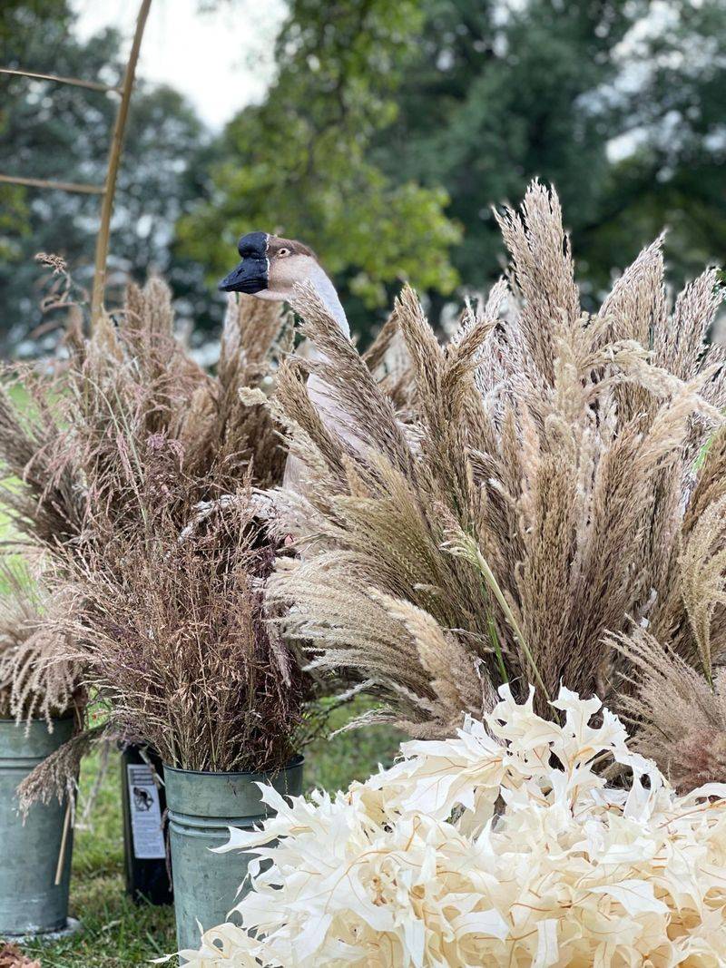Ornamental Grasses' Textural Contrast