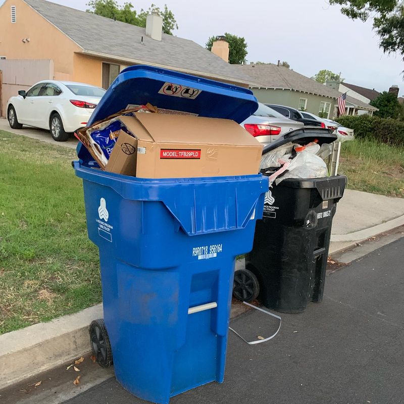 Secure Your Trash And Food Sources