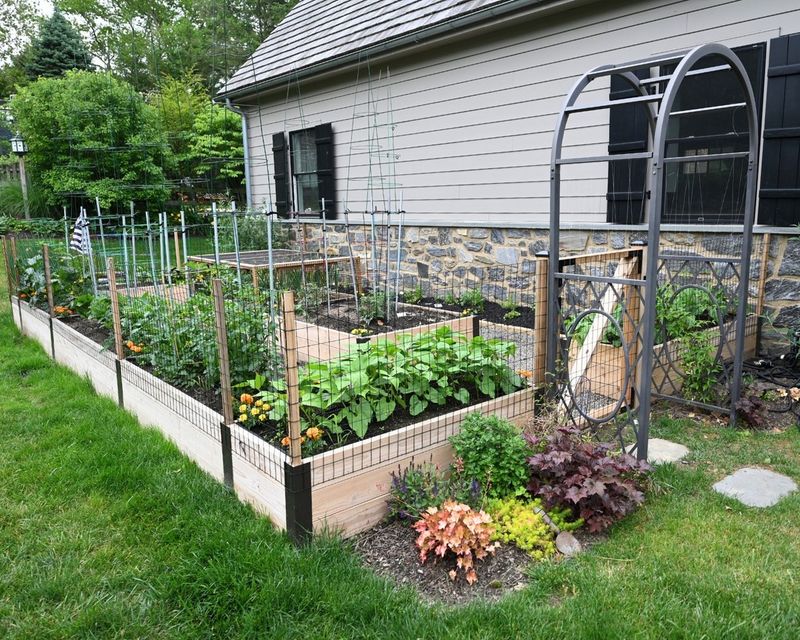 Front Yard Vegetable Gardens