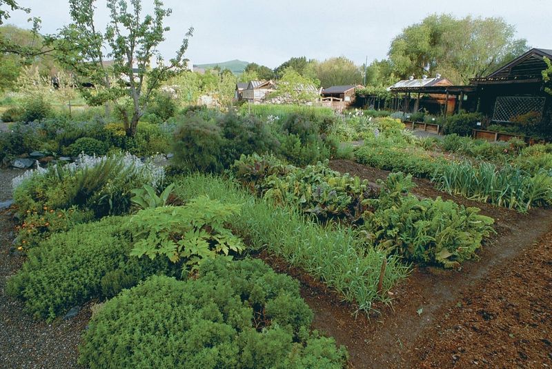 Large-Scale Vegetable Gardens