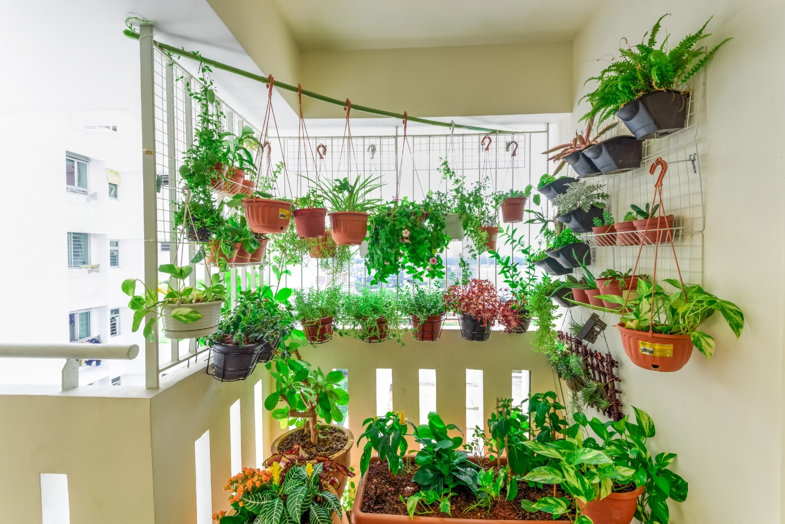 Balcony Gardening On A Budget With Containers And Herbs In New York