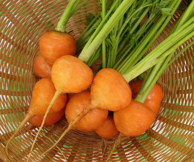 Romeo Baby Carrots