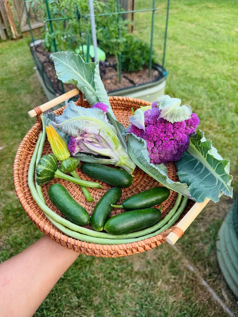 Garden Blessing Ceremonies