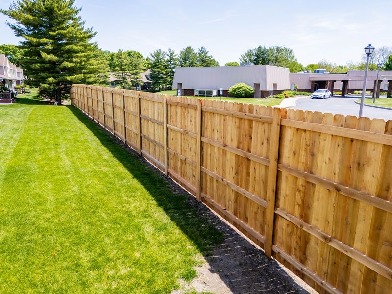 Tall Fences