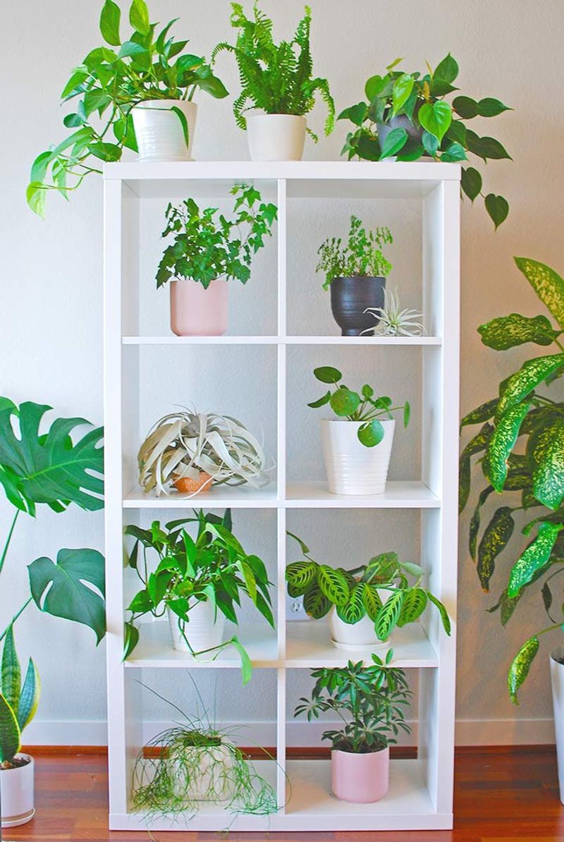 Bookcase Turned Vertical Garden Display