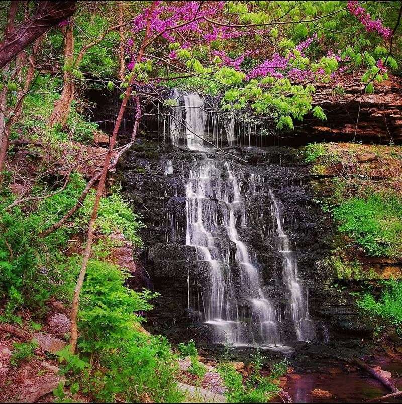 Cove Spring Park